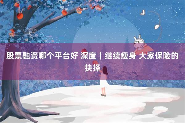 股票融资哪个平台好 深度｜继续瘦身 大家保险的抉择