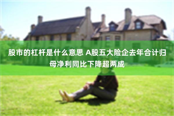 股市的杠杆是什么意思 A股五大险企去年合计归母净利同比下降超两成