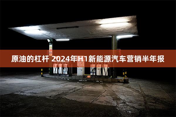 原油的杠杆 2024年H1新能源汽车营销半年报