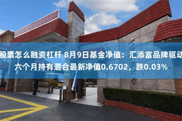 股票怎么融资杠杆 8月9日基金净值：汇添富品牌驱动六个月持有混合最新净值0.6702，跌0.03%