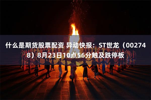 什么是期货股票配资 异动快报：ST世龙（002748）8月23日10点56分触及跌停板