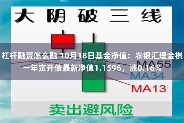 杠杆融资怎么融 10月18日基金净值：农银汇理金祺一年定开债最新净值1.1596，涨0.16%