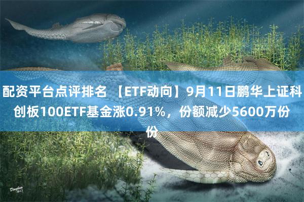 配资平台点评排名 【ETF动向】9月11日鹏华上证科创板100ETF基金涨0.91%，份额减少5600万份