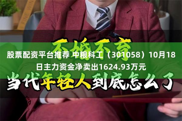 股票配资平台推荐 中粮科工（301058）10月18日主力资金净卖出1624.93万元