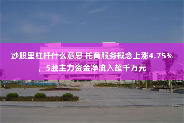 炒股里杠杆什么意思 托育服务概念上涨4.75%，5股主力资金净流入超千万元