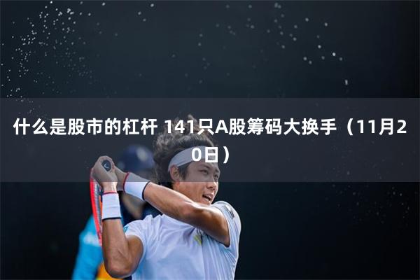 什么是股市的杠杆 141只A股筹码大换手（11月20日）