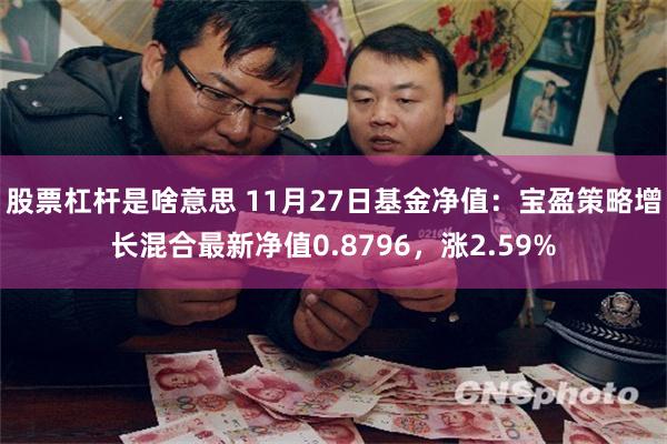 股票杠杆是啥意思 11月27日基金净值：宝盈策略增长混合最新净值0.8796，涨2.59%