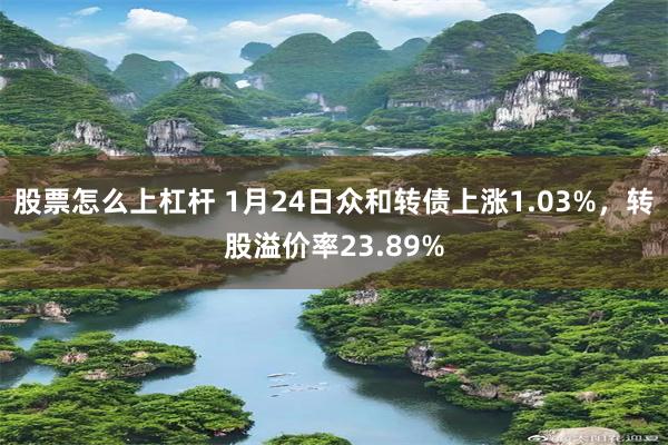 股票怎么上杠杆 1月24日众和转债上涨1.03%，转股溢价率23.89%