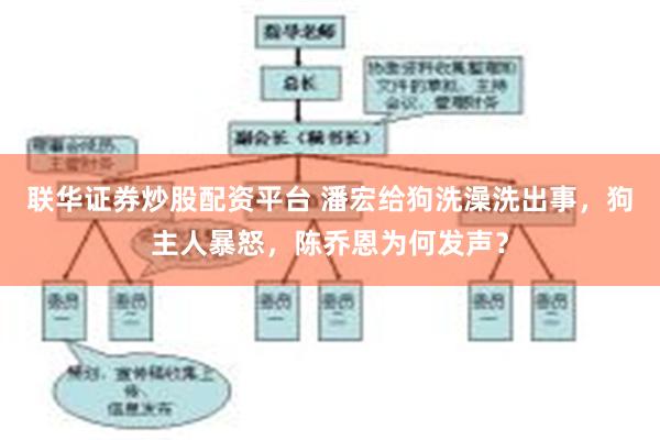 联华证券炒股配资平台 潘宏给狗洗澡洗出事，狗主人暴怒，陈乔恩为何发声？