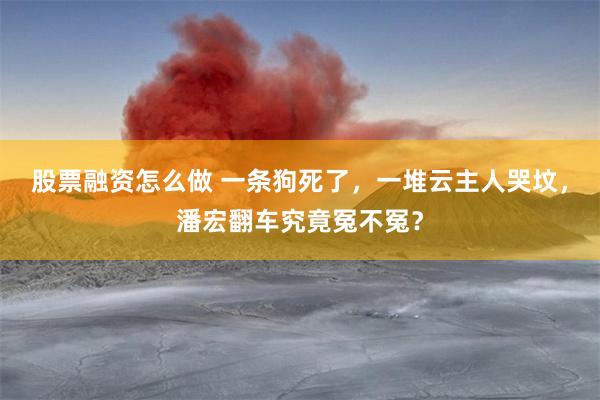 股票融资怎么做 一条狗死了，一堆云主人哭坟，潘宏翻车究竟冤不冤？