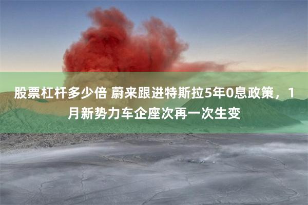 股票杠杆多少倍 蔚来跟进特斯拉5年0息政策，1月新势力车企座次再一次生变