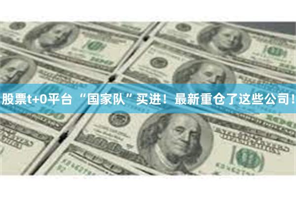 股票t+0平台 “国家队”买进！最新重仓了这些公司！